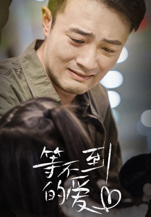 等不到的爱(40集) 等不到的爱(40集)抢先看热门短剧