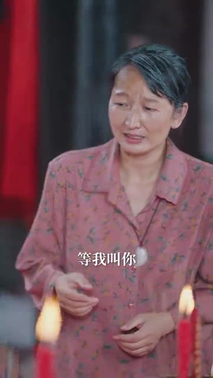 当归(50集) 当归(50集)在线看免费版