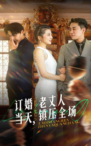订婚当天,老丈人镇压全场(29集) 订婚当天,老丈人镇压全场(29集)精彩短剧天天看