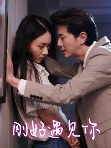 刚好遇见你(69集) 刚好遇见你(69集)短剧在哪里看