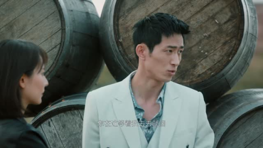 海边捡个他(22集) 海边捡个他(22集)剧情简介