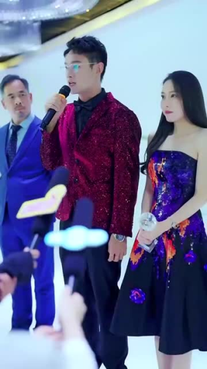 忽如一夜春风来(28集) 忽如一夜春风来(28集)短剧在线观看