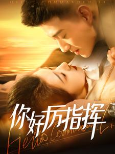 你好厉指挥(100集) 你好厉指挥(100集)推荐热门短剧