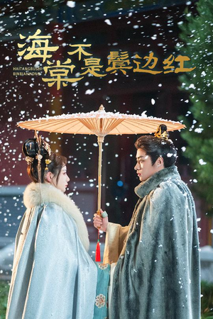 人生若只如初见(30集) 人生若只如初见(30集)在线观看