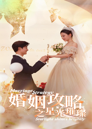 婚姻攻略之星光璀璨(32集) 婚姻攻略之星光璀璨(32集)在线看到大结局