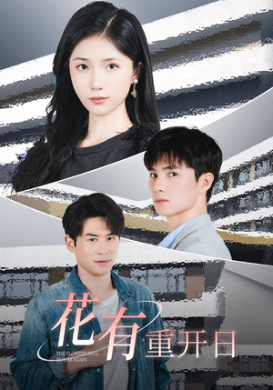 花有重开日（41集）古装短剧热播