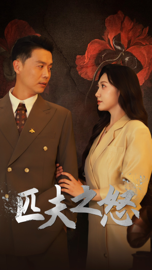 匹夫之怒（48集）熬夜追短剧