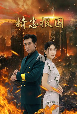 精忠报国(61集) 精忠报国(61集)解说