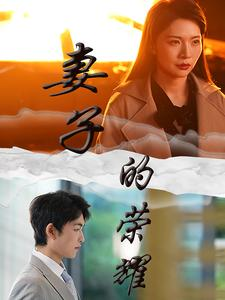 妻子的荣耀（40集）全集我都看完了