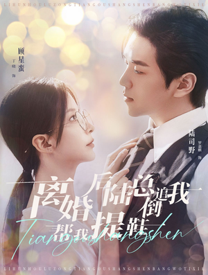 离婚后陆总倒追我帮我提鞋（100集）短剧介绍