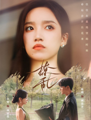 撩乱(65集) 撩乱(65集)全集都在这里了