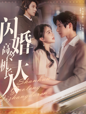 闪婚高冷机长大人(92集) 闪婚高冷机长大人(92集)观看软件