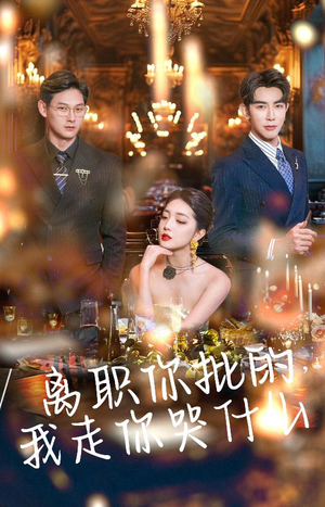 离职你批的,我走你哭什么(30集) 离职你批的,我走你哭什么(30集)完整版免费观看