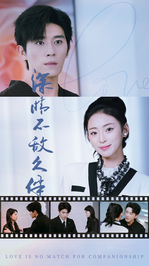 深情不敌久伴（50集）百度网盘资源