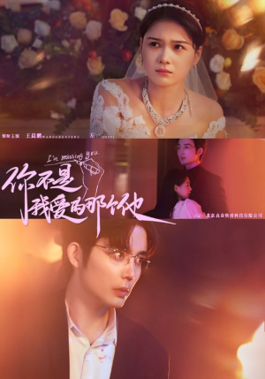 你不是我爱的那个他(54集) 你不是我爱的那个他(54集)短剧热门分享