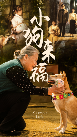 小狗来福(30集) 小狗来福(30集)分享热门短剧