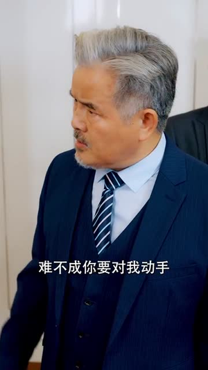 杏林逸韵(100集) 杏林逸韵(100集)短剧每日分享