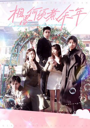 相思何须煮余年（33集）在哪里看