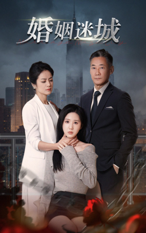新:婚姻迷城(60集) 新:婚姻迷城(60集)最后的大结局