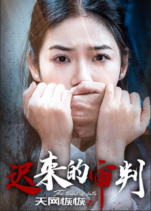 天网恢恢之迟来的审判(31集) 天网恢恢之迟来的审判(31集)观看软件