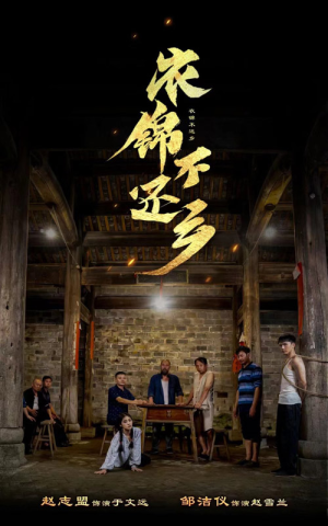 衣锦不还乡(69集) 衣锦不还乡(69集)不用花钱看全剧