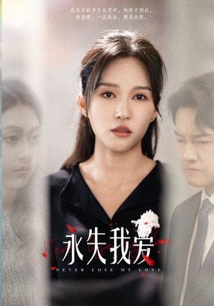 永失我爱(45集) 永失我爱(45集)解说