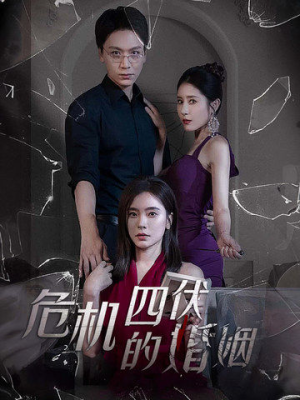 危机四伏的婚姻（56集）在线播放