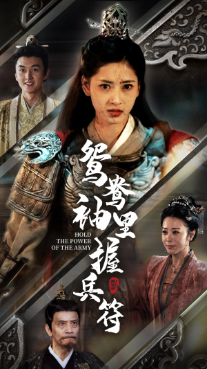 鸳鸯袖里握兵符（88集）短剧在哪个平台