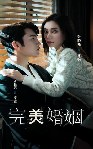 完美婚姻（65集）全季一次看完