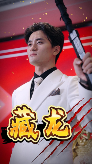 藏龙(30集) 藏龙(30集)怎么看全集