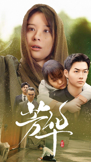 芳华(80集) 芳华(80集)哪个网站可以看