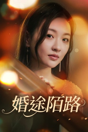 婚途陌路（15集）观看软件