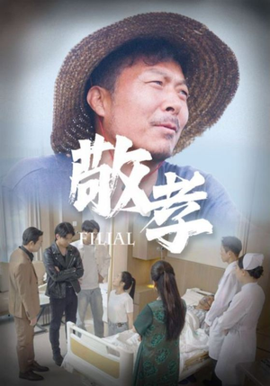 敬孝(61集) 敬孝(61集)短剧每日分享