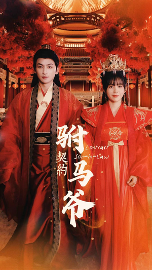契约驸马爷(74集) 契约驸马爷(74集)精彩短剧合集