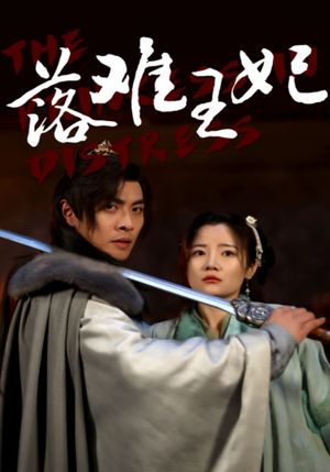 落难王妃(70集) 落难王妃(70集)免费看全集