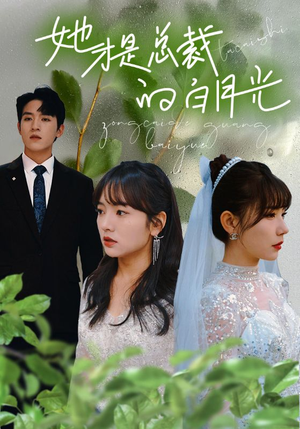 她才是总裁的白月光(90集) 她才是总裁的白月光(90集)完整版