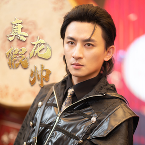 真假龙帅（81集）短剧全集免费看