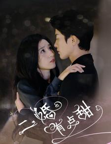 二婚有点甜(88集) 二婚有点甜(88集)最火短剧热播