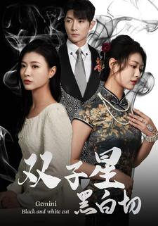 双子星黑白切（82集）UC网盘在线看