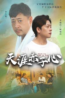 天涯赤子心（60集）百万短剧抢先看