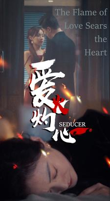 爱火灼心（99集）不用花钱看全剧