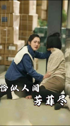 恰似人间芳菲尽(68集) 恰似人间芳菲尽(68集)热门短剧排行榜