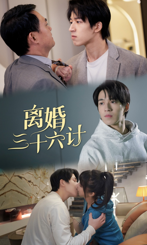 离婚三十六计（96集）高分佳作免费看