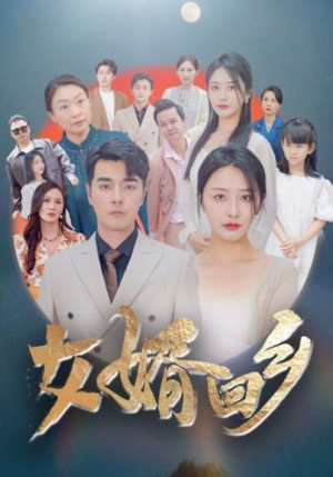 女婿回乡(120集) 女婿回乡(120集)超好看的短剧