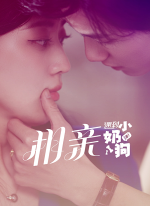 相亲遇到小奶狗(80集) 相亲遇到小奶狗(80集)好看短剧分享