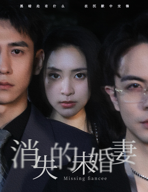消失的未婚妻（82集）精彩短剧下载