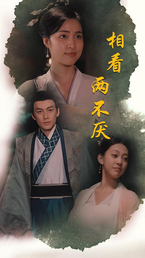 相看两不厌（85集）免费短剧片段