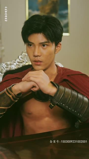 特工凤凰(绝色特工) 特工凤凰(绝色特工)更新时间一览表