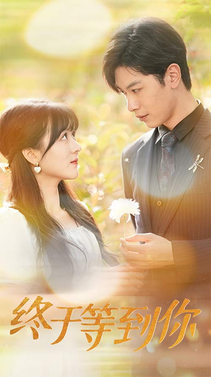 你是我的木槿年华(80集) 你是我的木槿年华(80集)热门短剧榜单