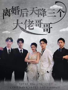 离婚后天降三个大佬哥哥（83集）短剧抢先看